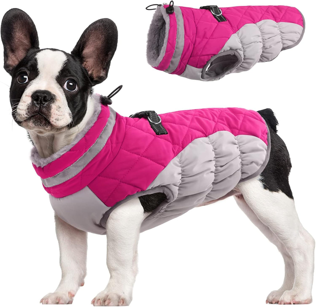 SafeWalk Winter Harness Jacket – Waterproof dog jacket with reflection and fleece lining