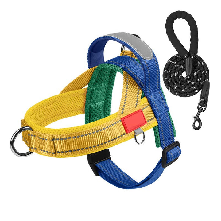 PawEase Comfort Harness — Relaxed Dressing and Unlimited Freedom for Your Dog |