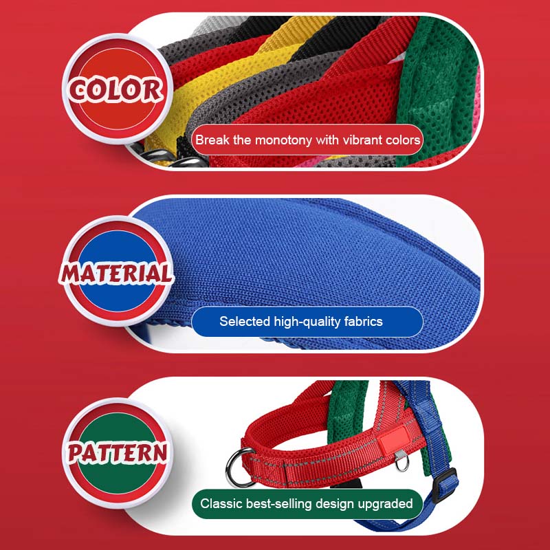 PawEase Comfort Harness — Relaxed Dressing and Unlimited Freedom for Your Dog |