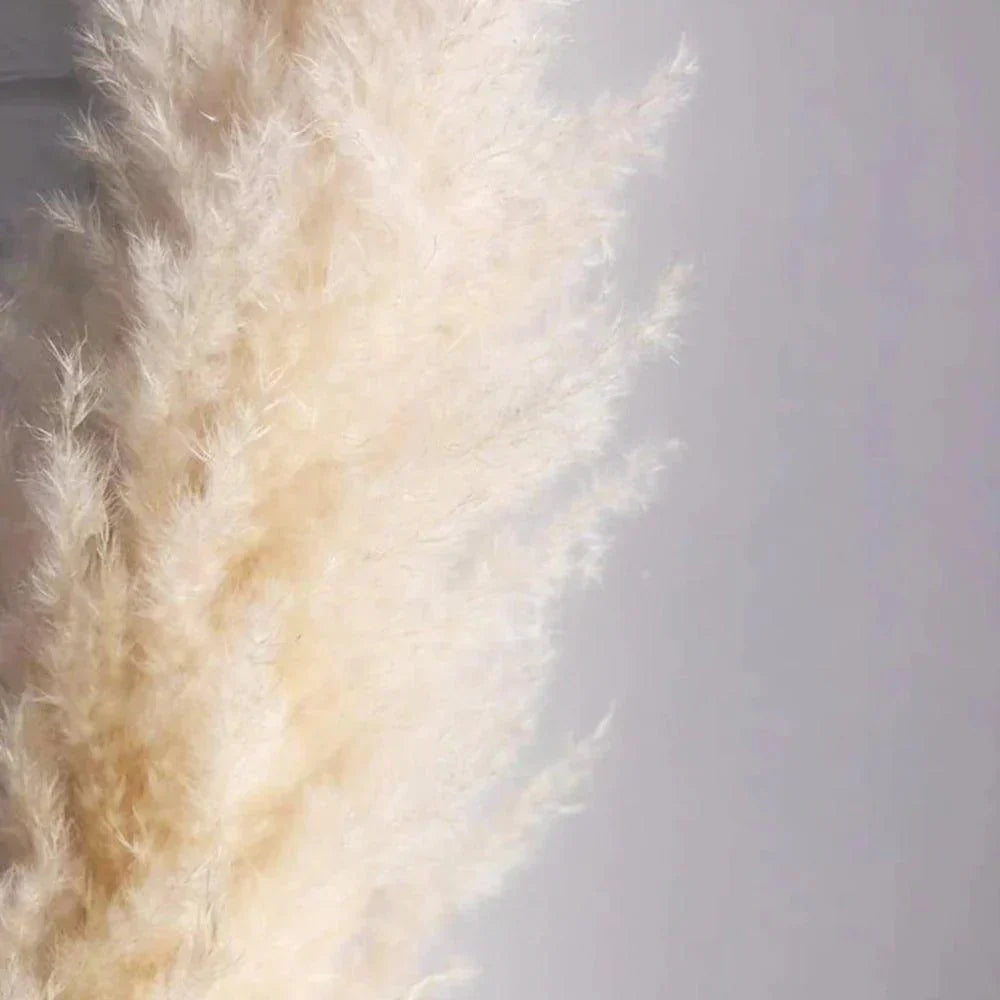 80 cm natural, real dried pampas grass bouquet (white / beige / grey) │ fluffy feather for modern boho home decor