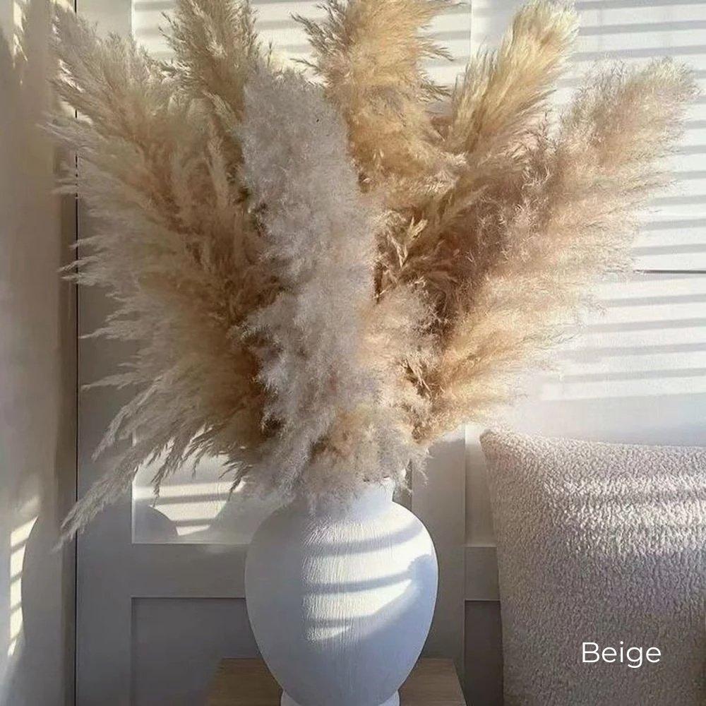 80 cm natural, real dried pampas grass bouquet (white / beige / grey) │ fluffy feather for modern boho home decor