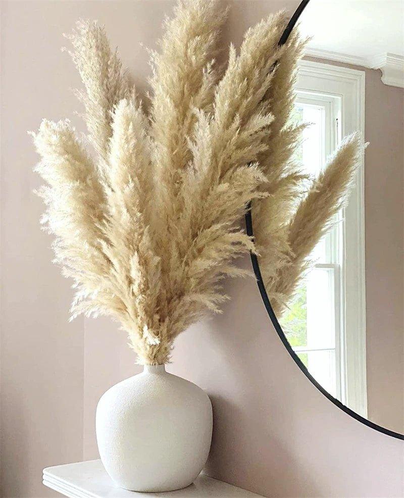 80 cm natural, real dried pampas grass bouquet (white / beige / grey) │ fluffy feather for modern boho home decor