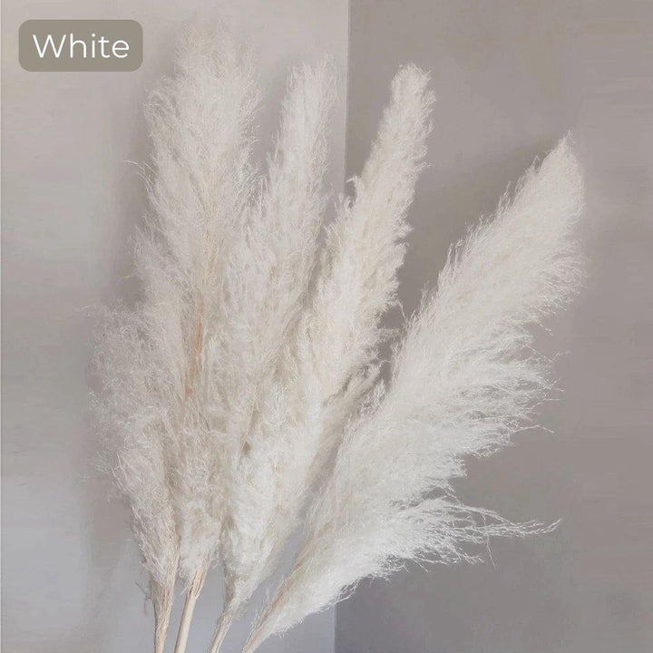80 cm natural, real dried pampas grass bouquet (white / beige / grey) │ fluffy feather for modern boho home decor