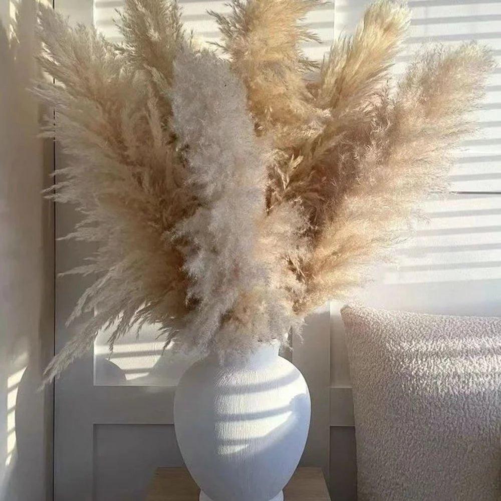 80 cm natural, real dried pampas grass bouquet (white / beige / grey) │ fluffy feather for modern boho home decor