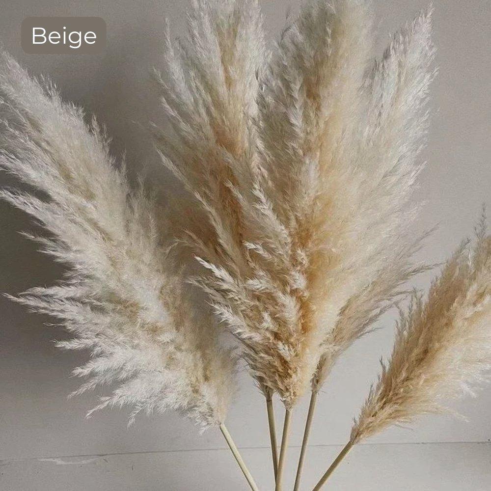 80 cm natural, real dried pampas grass bouquet (white / beige / grey) │ fluffy feather for modern boho home decor