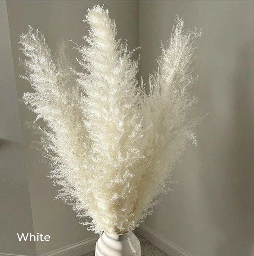 80 cm natural, real dried pampas grass bouquet (white / beige / grey) │ fluffy feather for modern boho home decor
