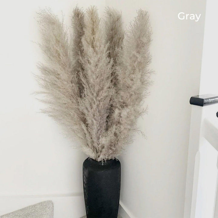 80 cm natural, real dried pampas grass bouquet (white / beige / grey) │ fluffy feather for modern boho home decor