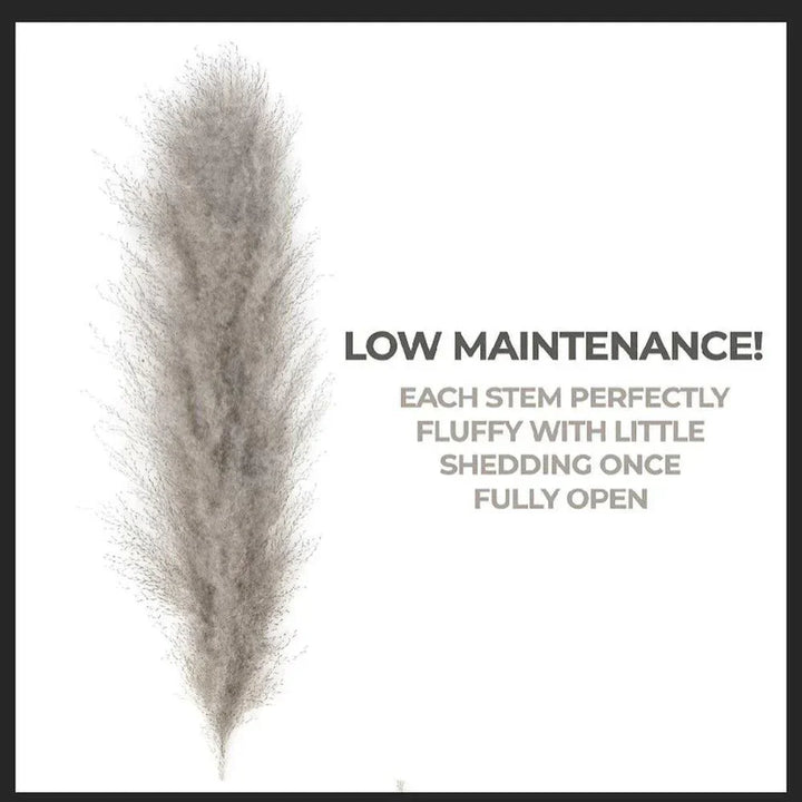 80 cm natural, real dried pampas grass bouquet (white / beige / grey) │ fluffy feather for modern boho home decor