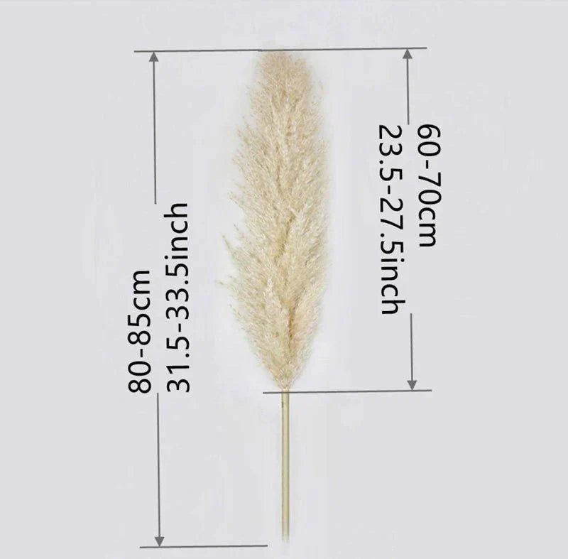 80 cm natural, real dried pampas grass bouquet (white / beige / grey) │ fluffy feather for modern boho home decor