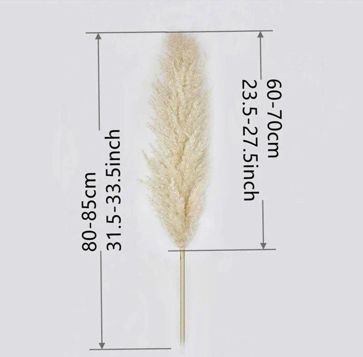 80 cm natural, real dried pampas grass bouquet (white / beige / grey) │ fluffy feather for modern boho home decor