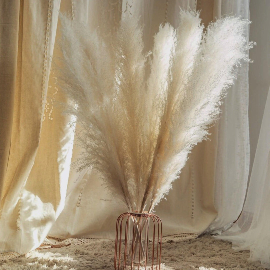 80 cm natural, real dried pampas grass bouquet (white / beige / grey) │ fluffy feather for modern boho home decor