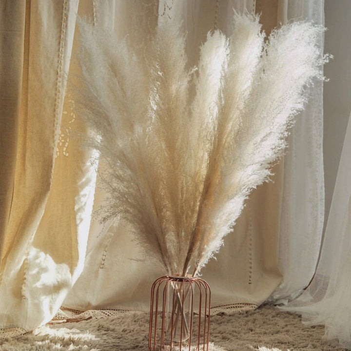 80 cm natural, real dried pampas grass bouquet (white / beige / grey) │ fluffy feather for modern boho home decor