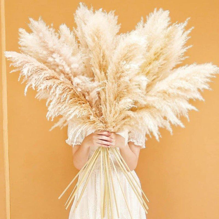 80 cm natural, real dried pampas grass bouquet (white / beige / grey) │ fluffy feather for modern boho home decor