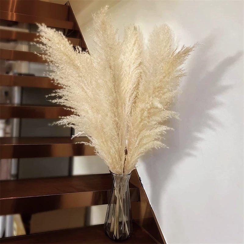 80 cm natural, real dried pampas grass bouquet (white / beige / grey) │ fluffy feather for modern boho home decor