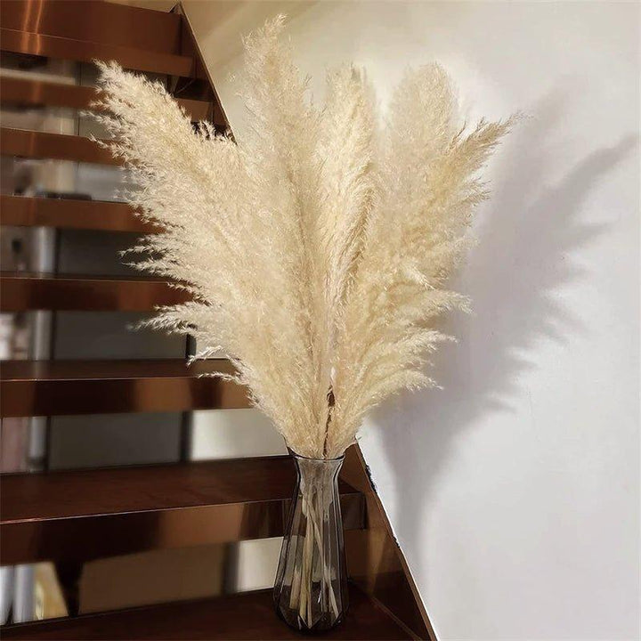 80 cm natural, real dried pampas grass bouquet (white / beige / grey) │ fluffy feather for modern boho home decor