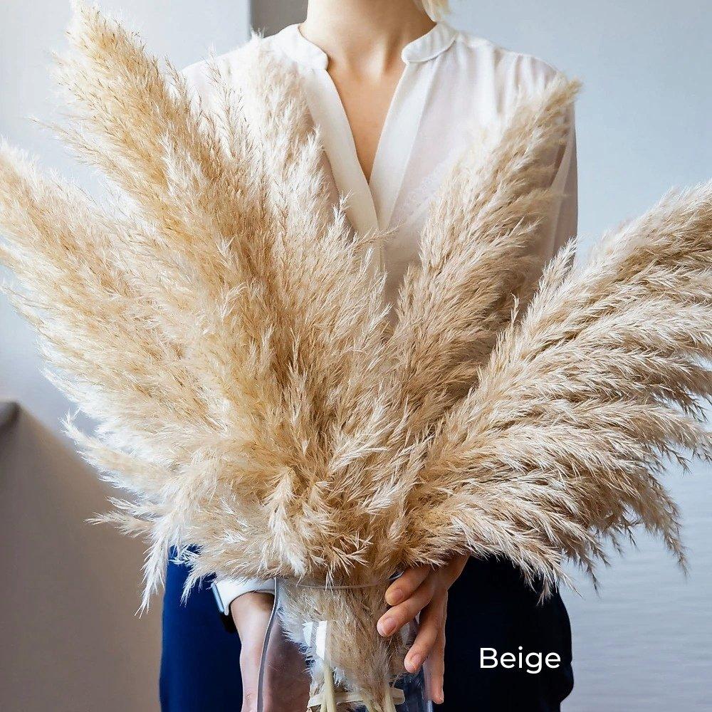 80 cm natural, real dried pampas grass bouquet (white / beige / grey) │ fluffy feather for modern boho home decor