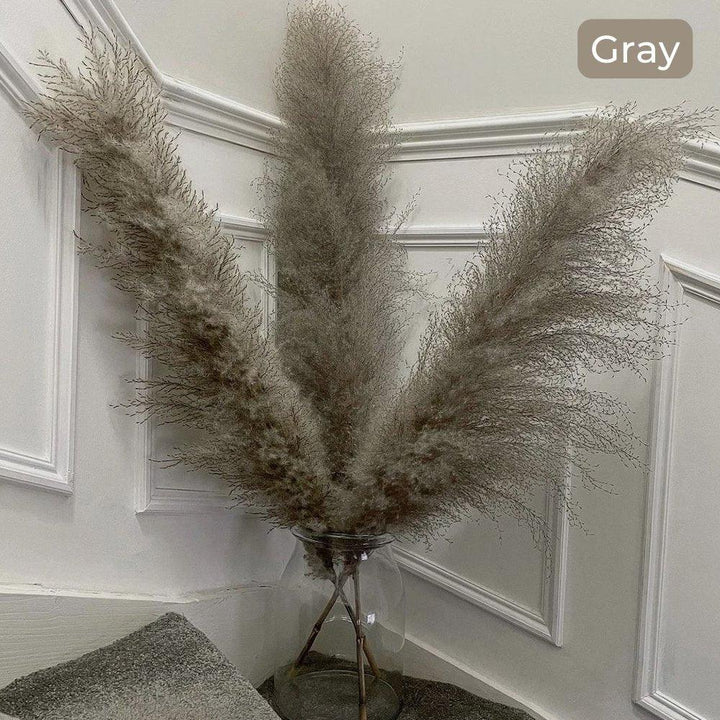 80 cm natural, real dried pampas grass bouquet (white / beige / grey) │ fluffy feather for modern boho home decor