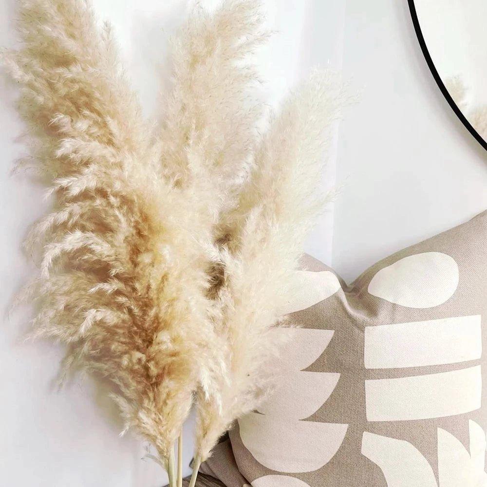 80 cm natural, real dried pampas grass bouquet (white / beige / grey) │ fluffy feather for modern boho home decor