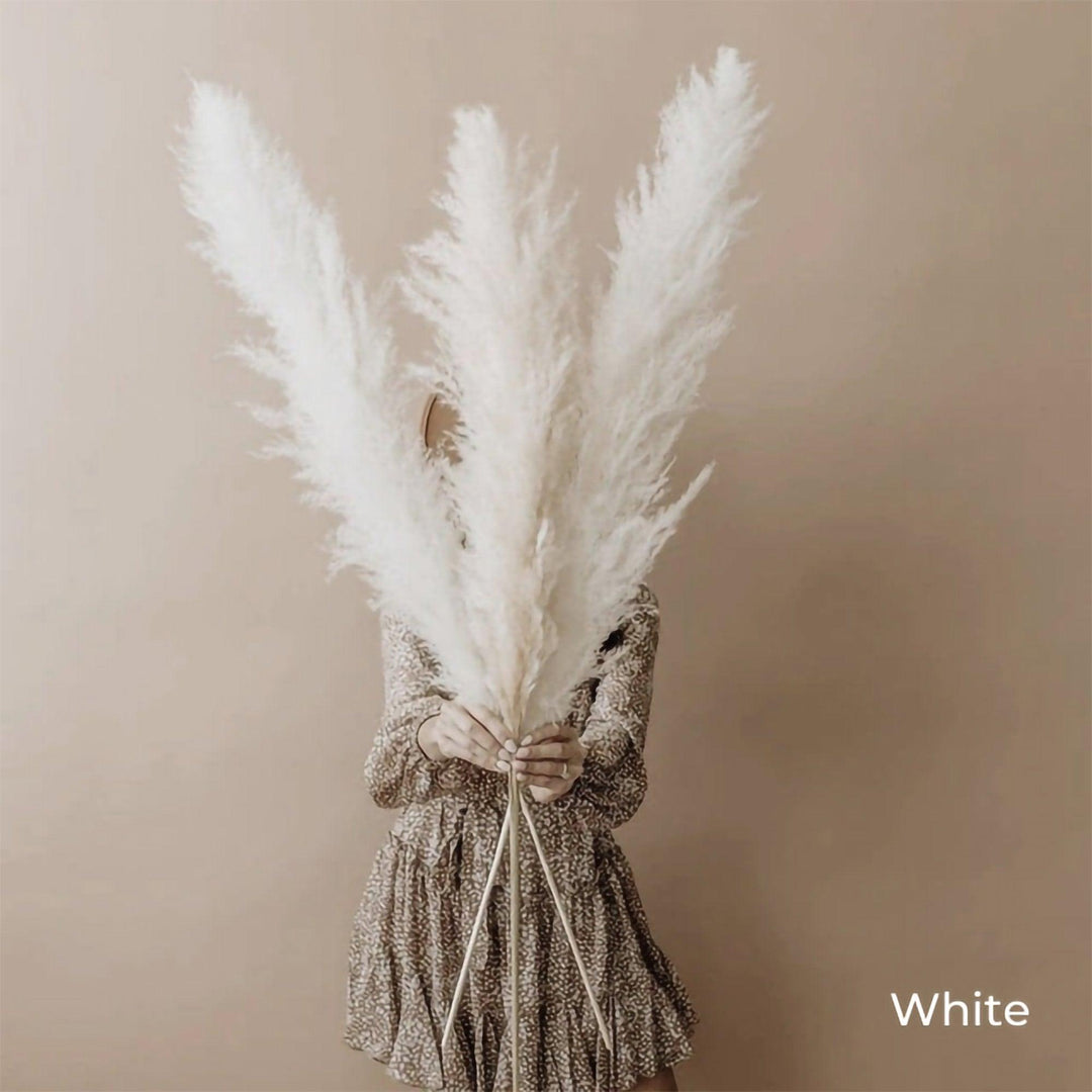 80 cm natural, real dried pampas grass bouquet (white / beige / grey) │ fluffy feather for modern boho home decor
