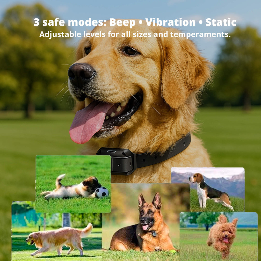 800M Rechargeable Electric Dog Training Collar | Waterproof, Remote Control &amp; Ideal for Effective Dog Training