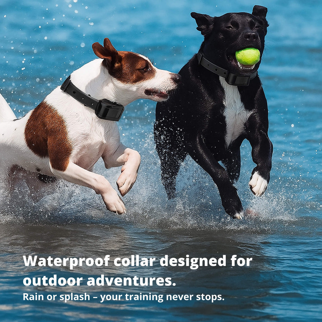 800M Rechargeable Electric Dog Training Collar | Waterproof, Remote Control &amp; Ideal for Effective Dog Training