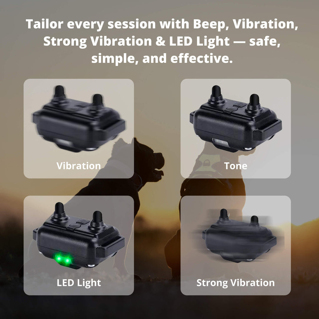 800M Rechargeable Electric Dog Training Collar | Waterproof, Remote Control &amp; Ideal for Effective Dog Training