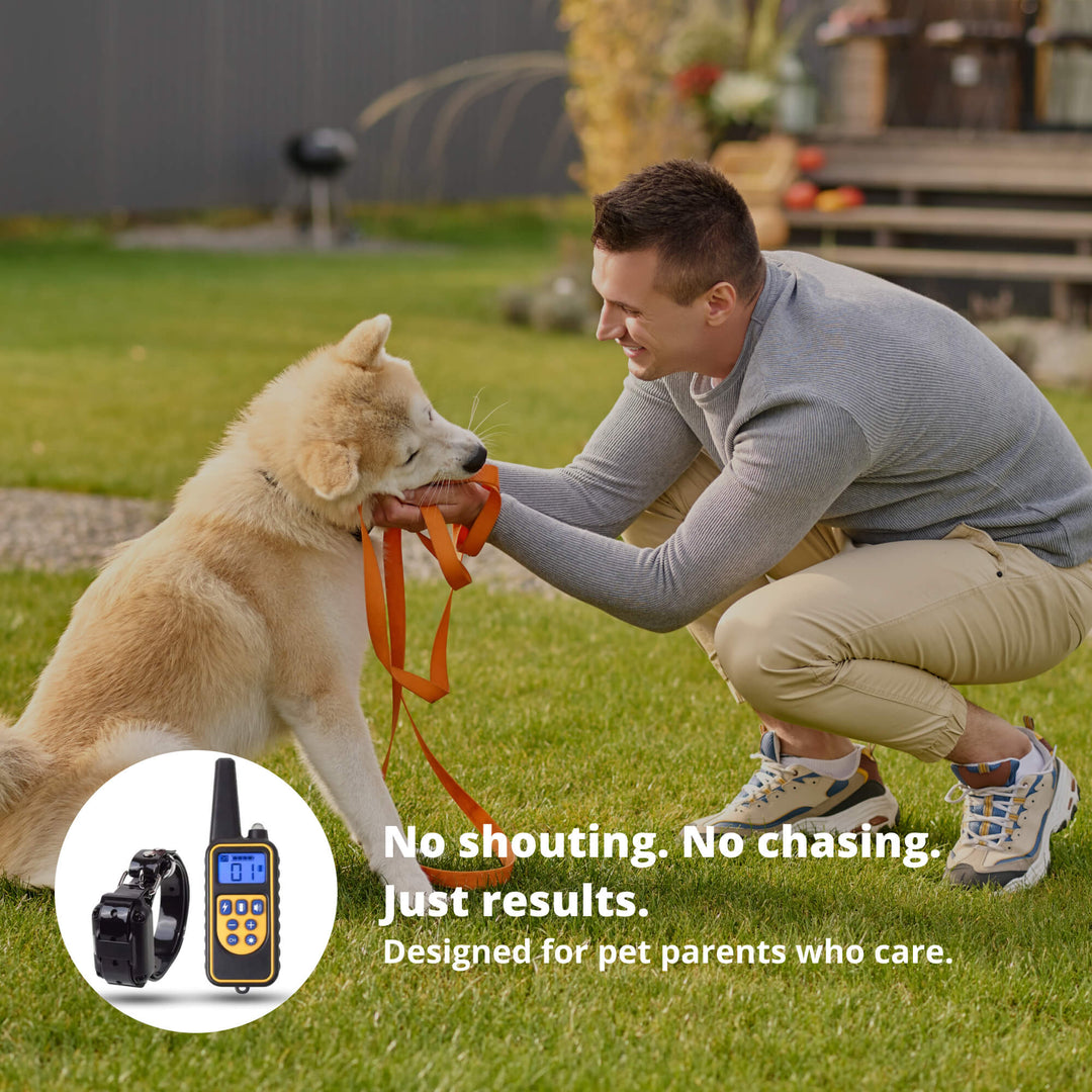 800M Rechargeable Electric Dog Training Collar | Waterproof, Remote Control &amp; Ideal for Effective Dog Training