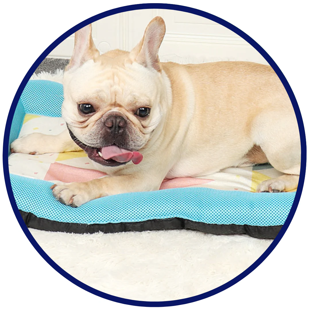 Pet Silk Cooling Mat |