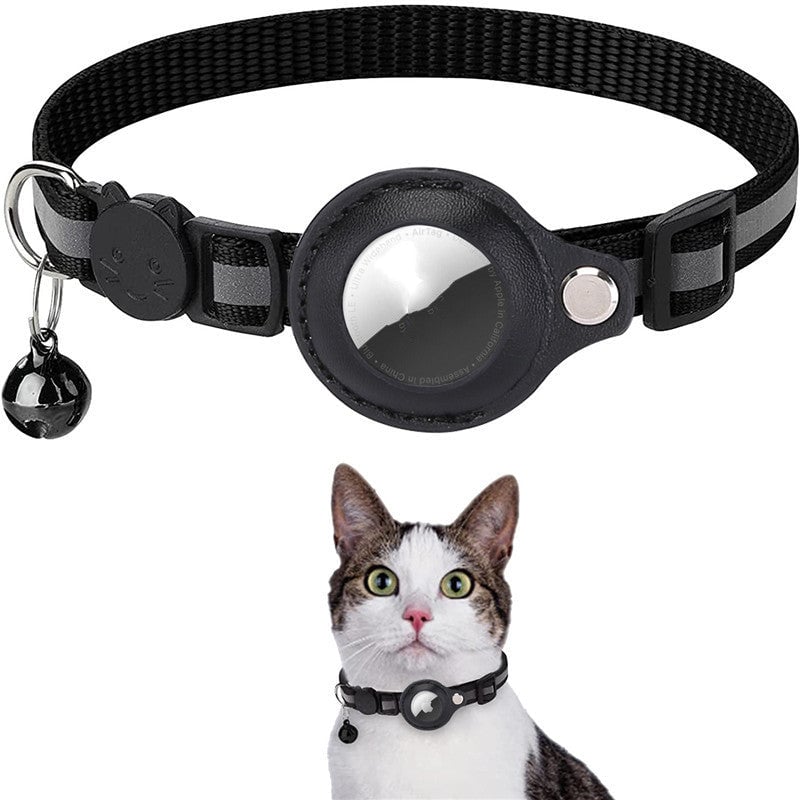 Stay Connected: pet locator collar