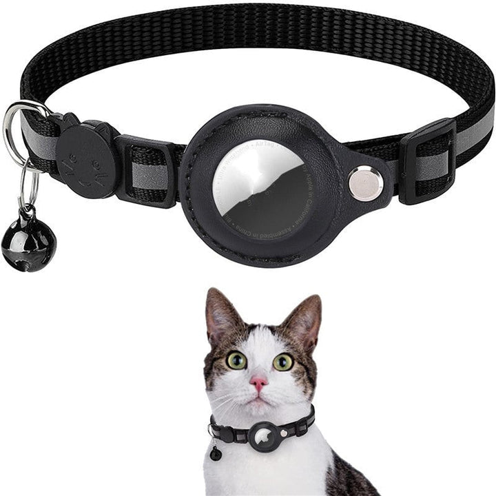 Stay Connected: pet locator collar
