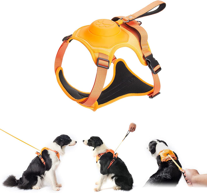 mamymarket™ - Dog Harness and Retractable Leash Set All-in-One