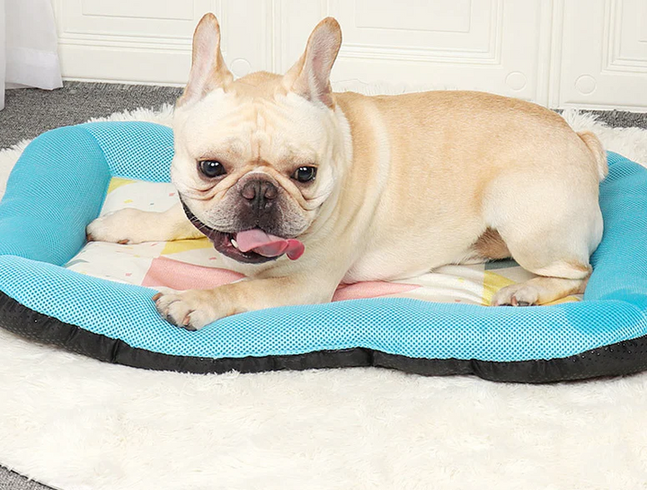 Pet Silk Cooling Mat |