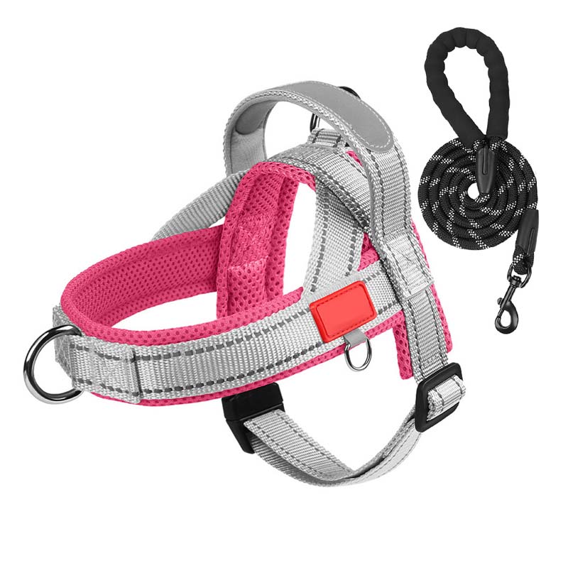 PawEase Comfort Harness — Relaxed Dressing and Unlimited Freedom for Your Dog |