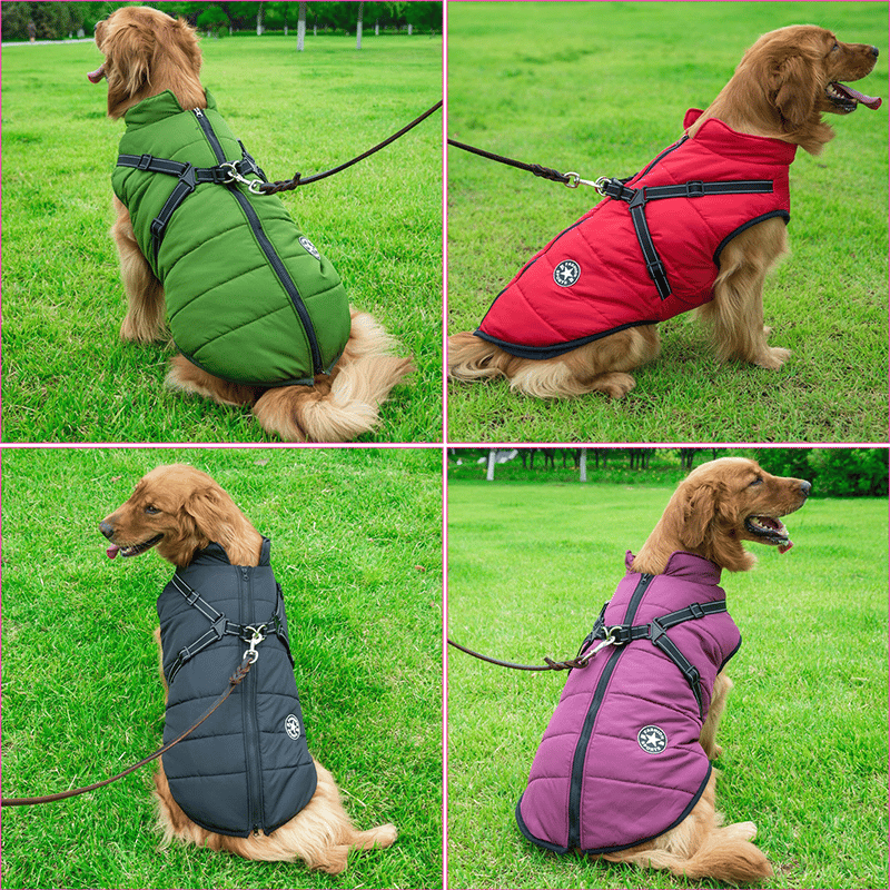 Winter Dog Jacket with Harness |