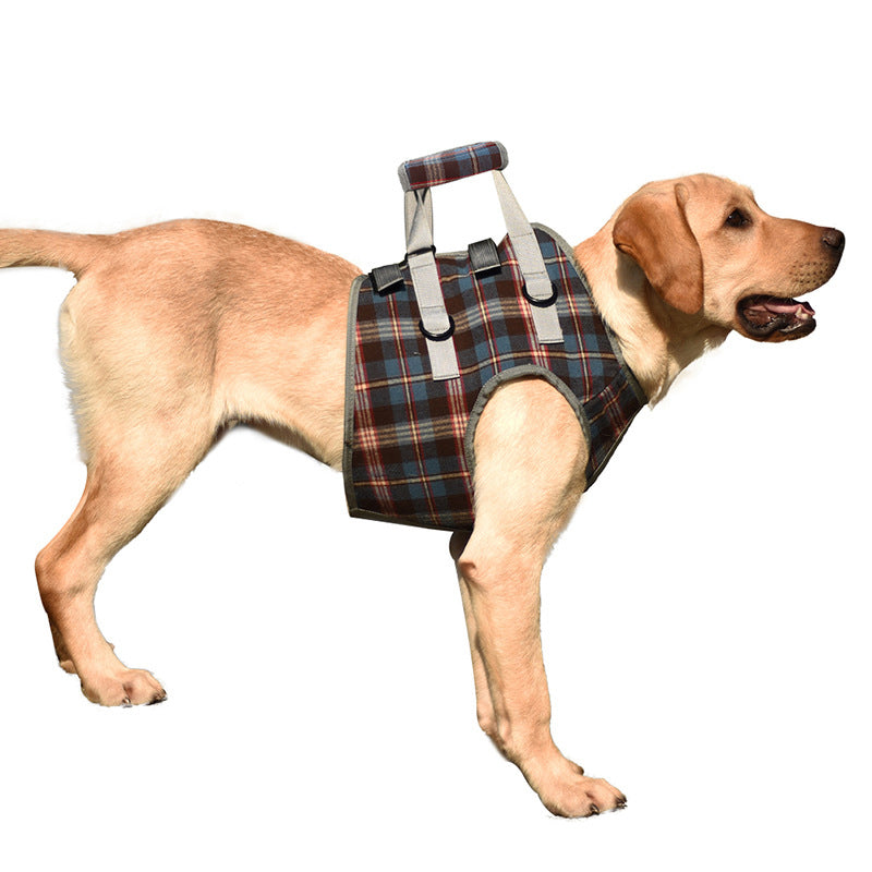 Orthopedic Rear Leg Support Harness for Dogs – Ideal for Arthritis, Hip Dysplasia &amp; Mobility Aid
