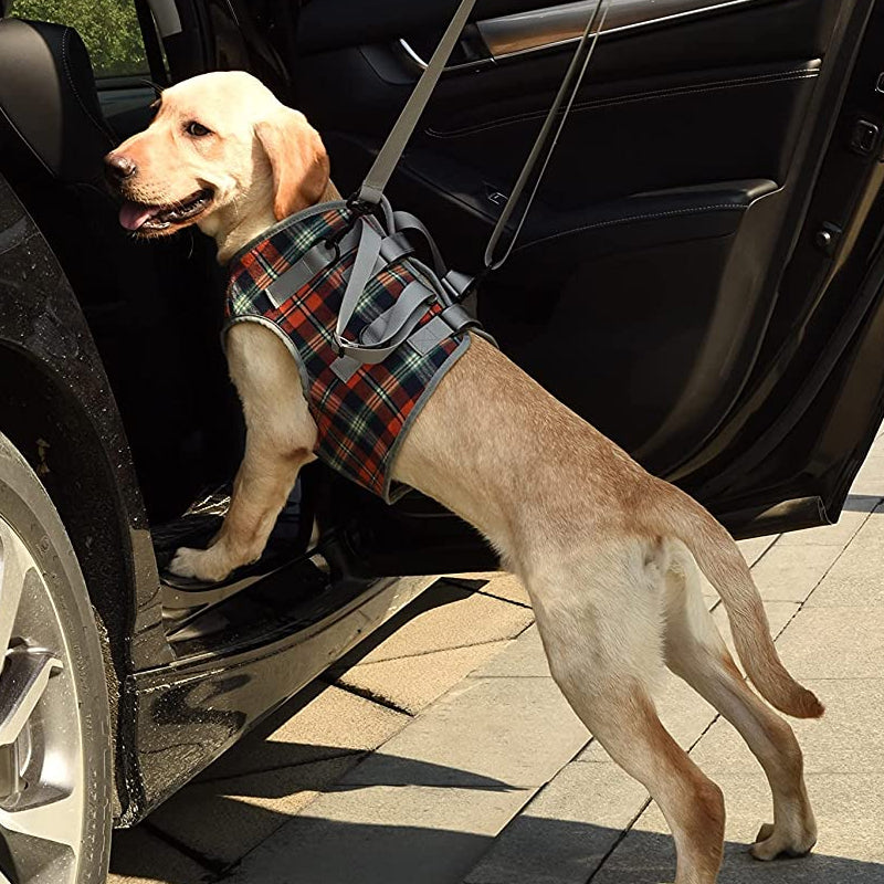 Orthopedic Rear Leg Support Harness for Dogs – Ideal for Arthritis, Hip Dysplasia &amp; Mobility Aid