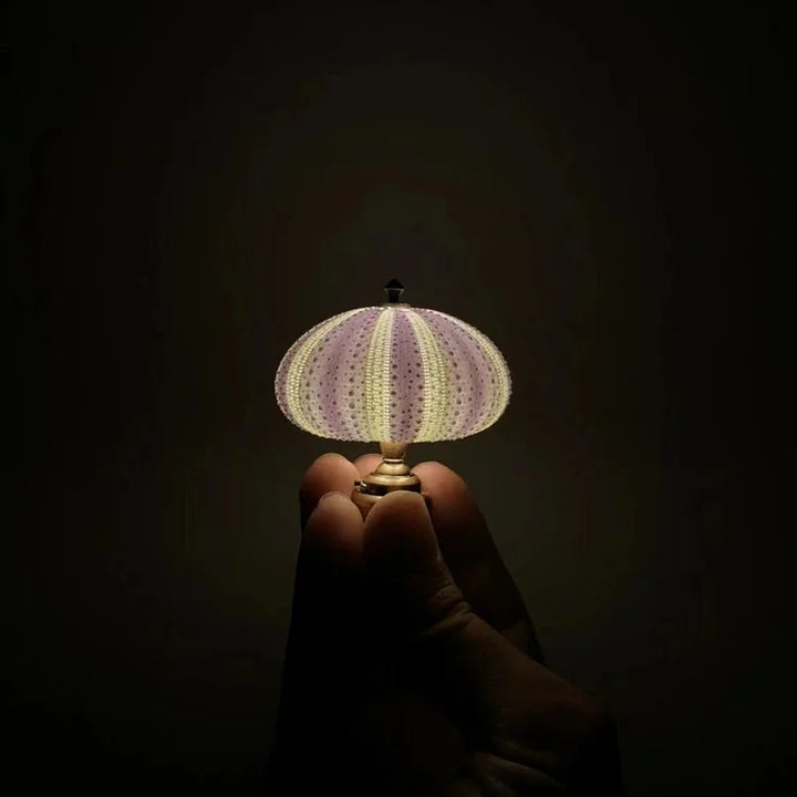 LumiCraft – Unique DIY table lamp with natural sea shell for a cozy décor