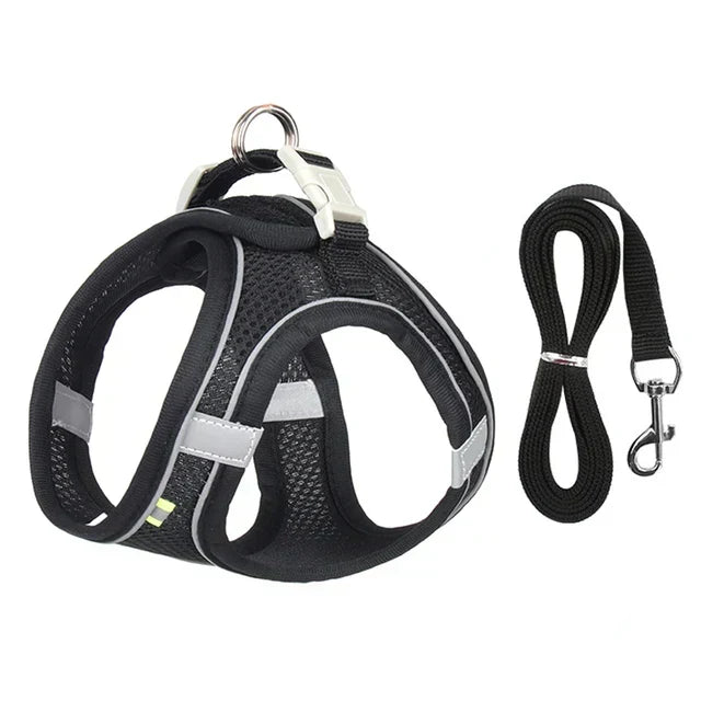 Adventurous Cat Harness with Leash – Adjustable and Reflective |