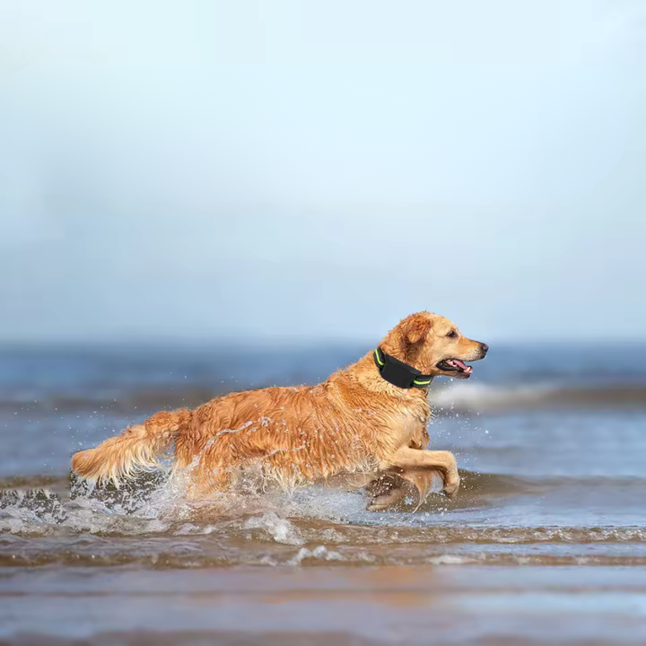Automatic Anti-Bark Collar with Sound &amp; Shock