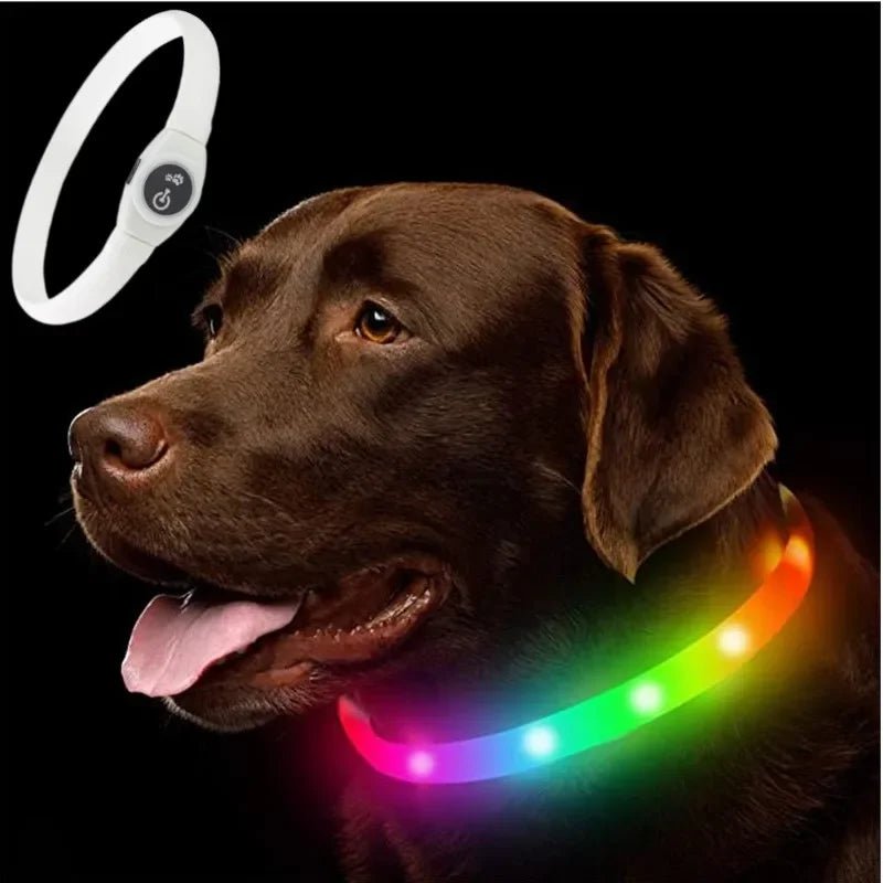 LED Light Collar for Dogs for Safe Walks at Night