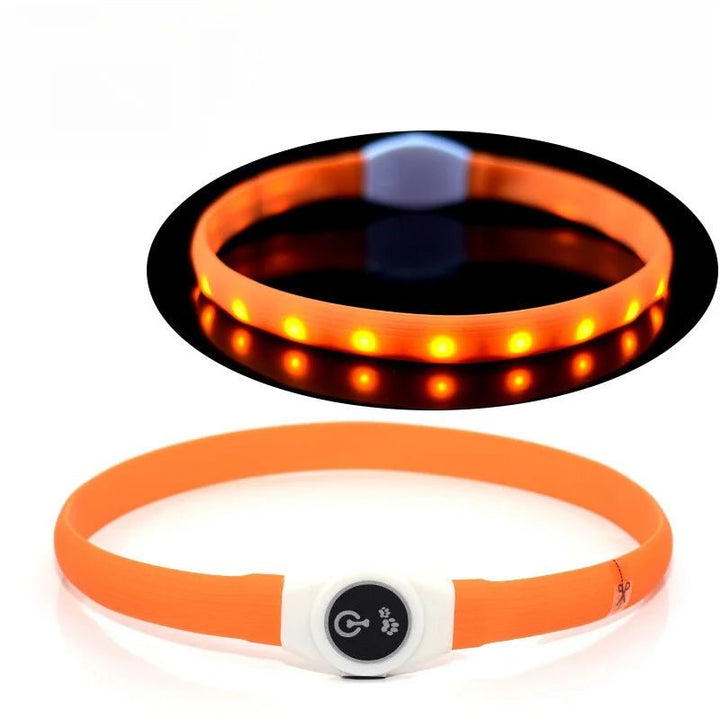 LED Light Collar for Dogs for Safe Walks at Night