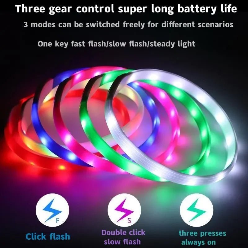 LED Light Collar for Dogs for Safe Walks at Night