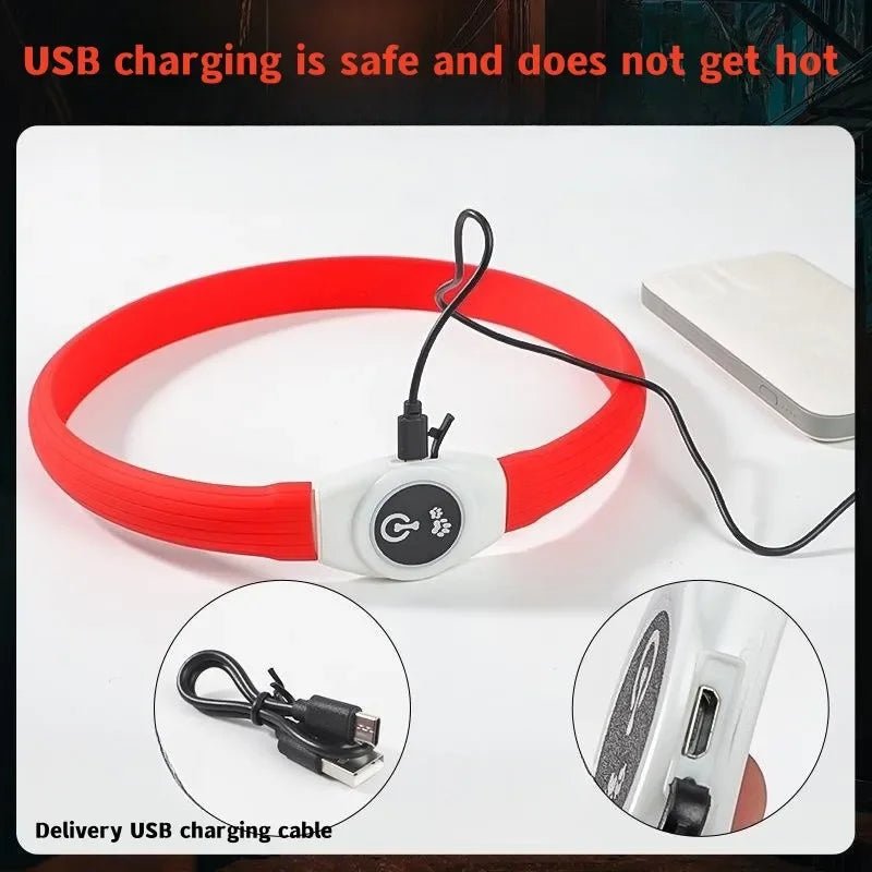 LED Light Collar for Dogs for Safe Walks at Night