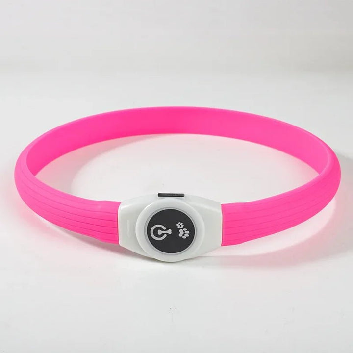 LED Light Collar for Dogs for Safe Walks at Night