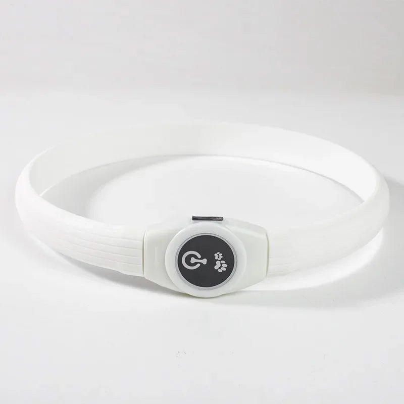 LED Light Collar for Dogs for Safe Walks at Night