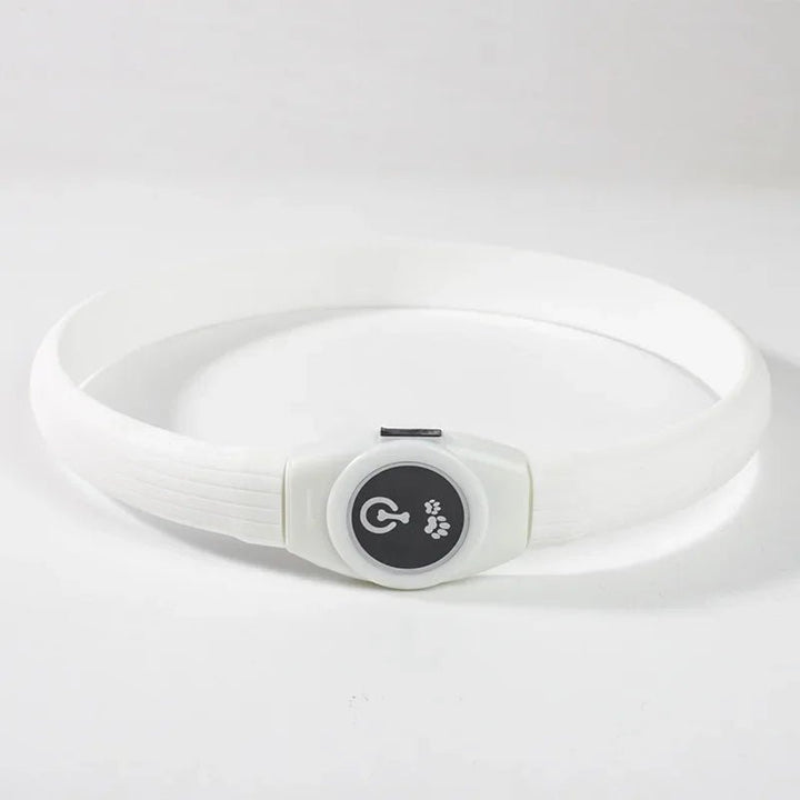 LED Light Collar for Dogs for Safe Walks at Night
