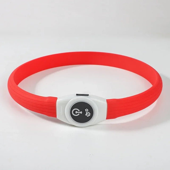 LED Light Collar for Dogs for Safe Walks at Night