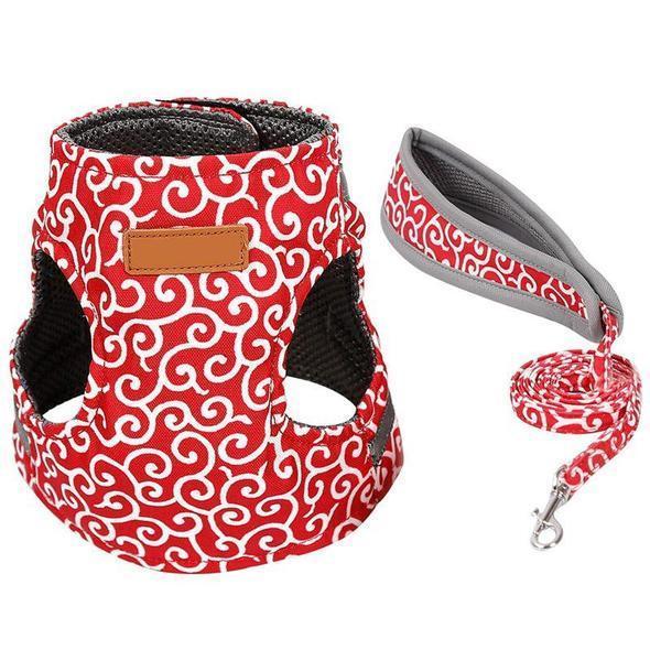 Collar jacket and leash for cat |