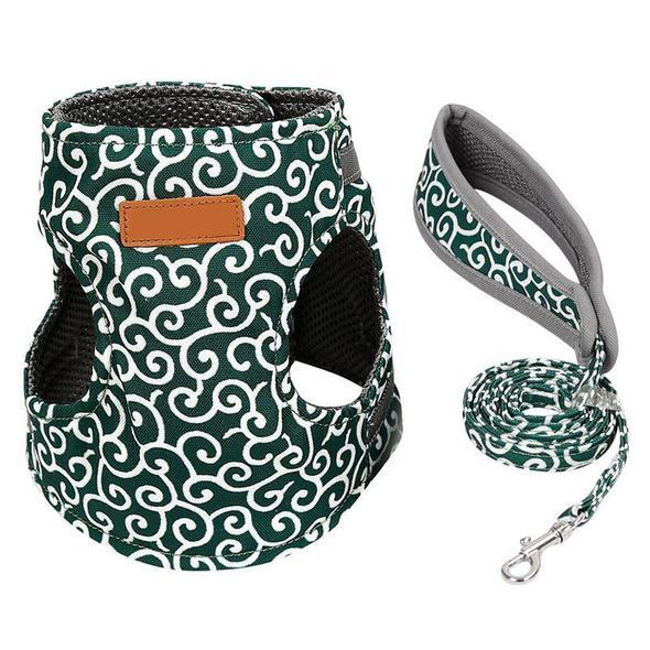 Collar jacket and leash for cat |