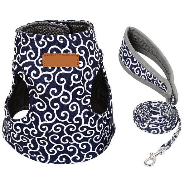 Collar jacket and leash for cat |